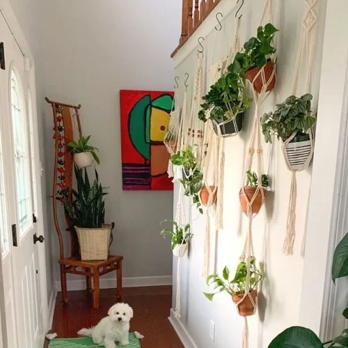 small entryway ideas - plant wall