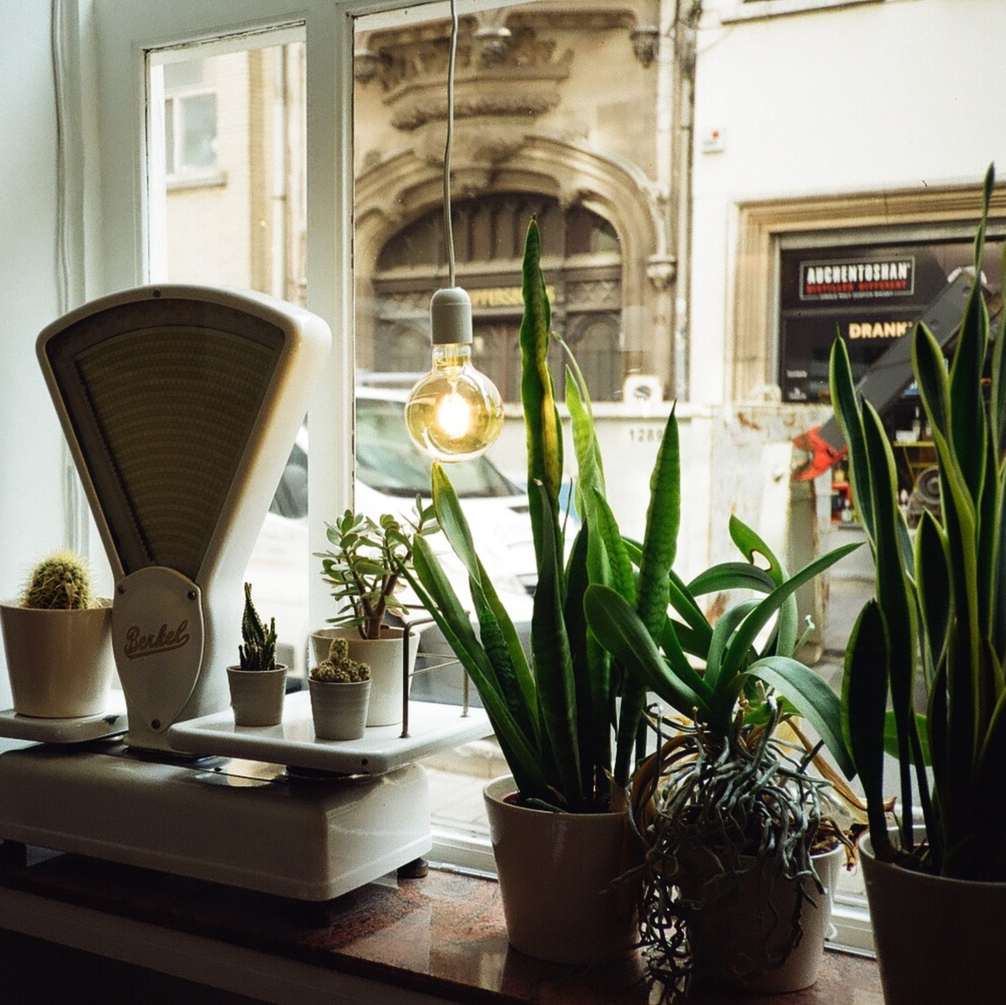 window privacy ideas