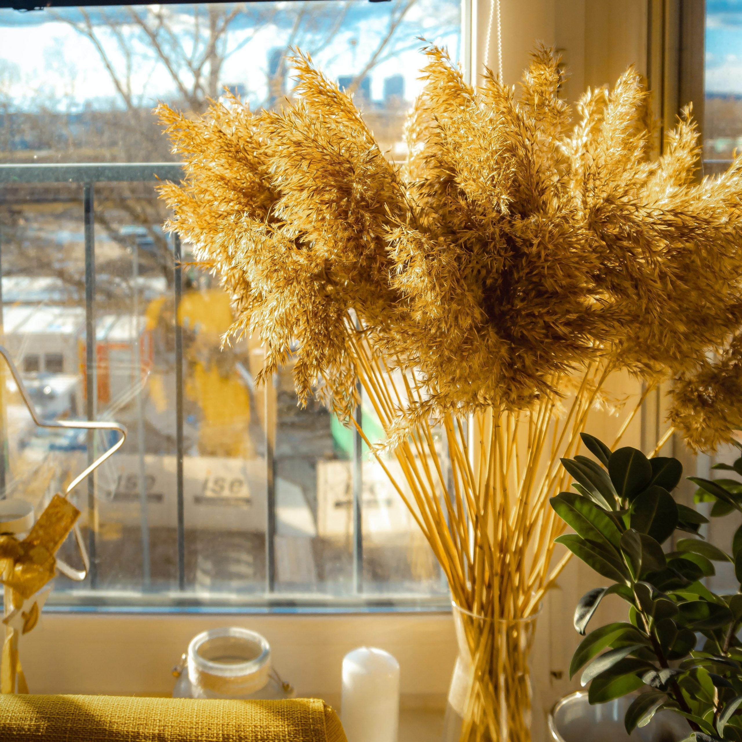 window privacy ideas