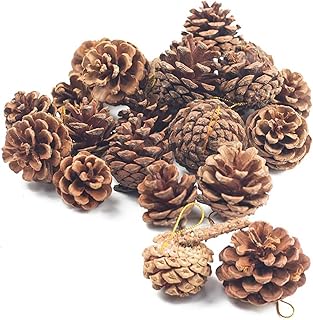 pinecones for diy Christmas decorations