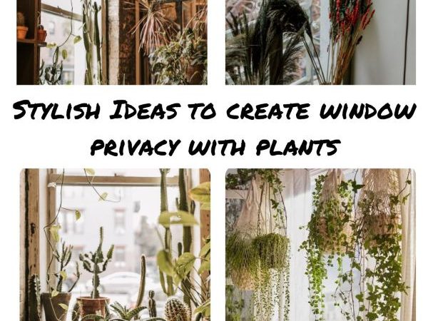 Ideas To Create Window Privacy With Plants