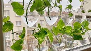 window privacy ideas