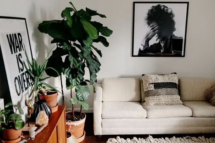 MODERN BOHO LIVING ROOM WITH LARGE PLANT IN THE CORNER