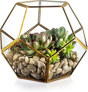 image link glass terrarium