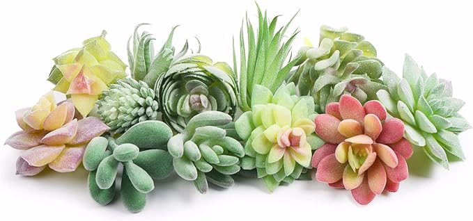 image link  succulents