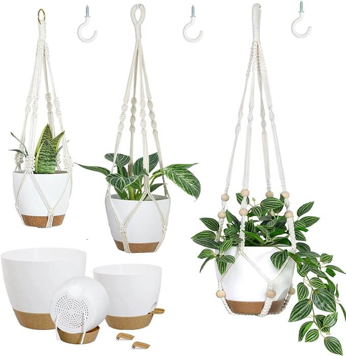 hanging planters