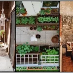 27 Small Balcony Decor Ideas for Apartments The current image has no alternative text. The file name is: Small-Balcony-Decor-Ideas-for-Apartments-1.webp