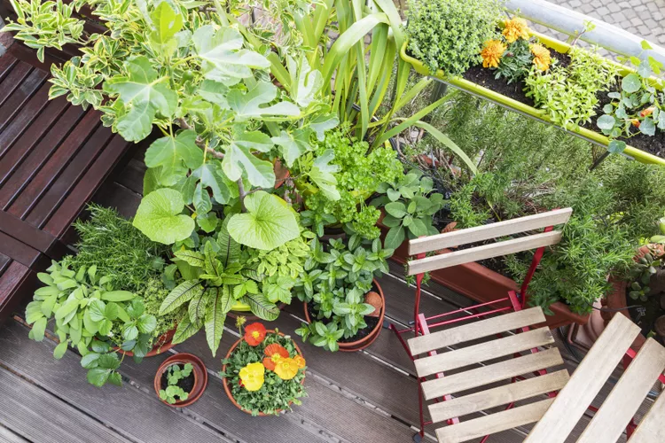 small balcony decor ideas garden