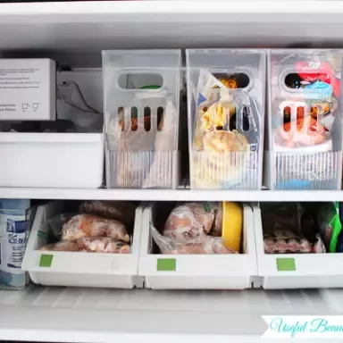 Small Fridge Organization