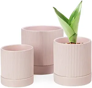 image link ceramic plant pots