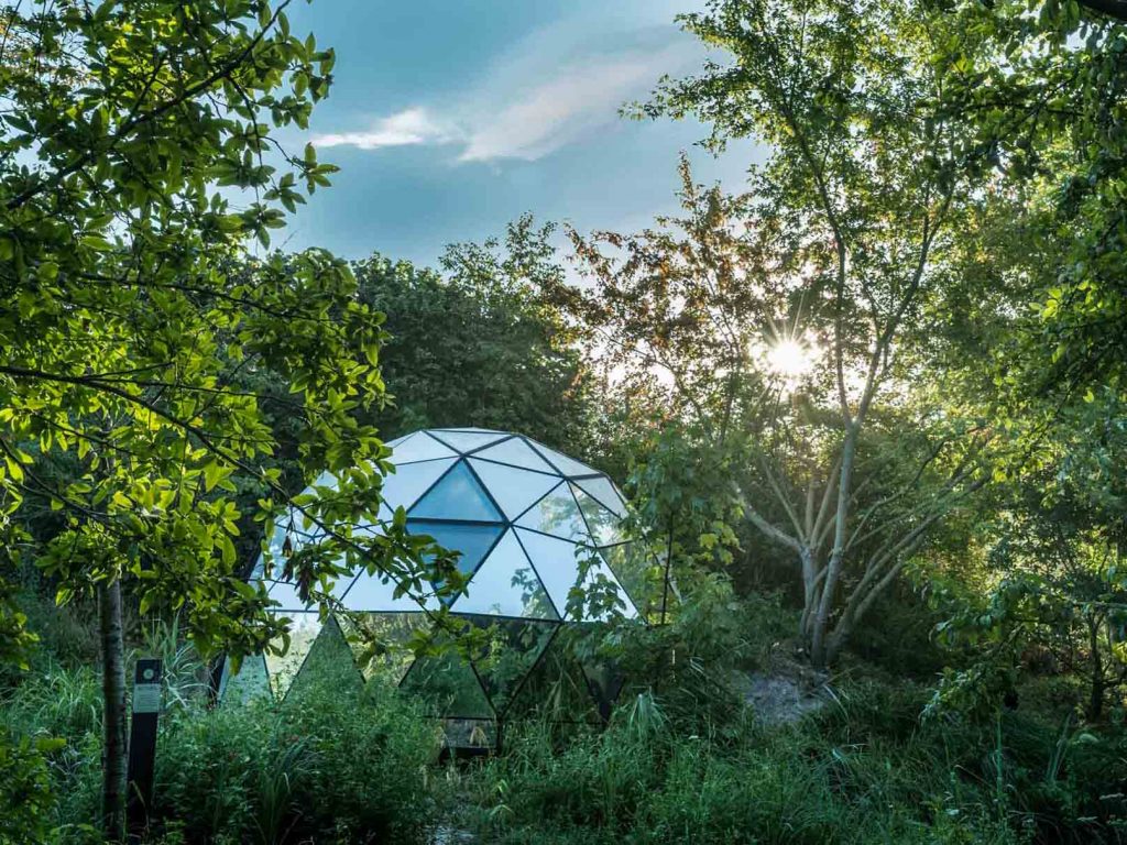 A modern, sustainable eco-lodge nestled by a river, ideal for eco-conscious slow travel in a French forest