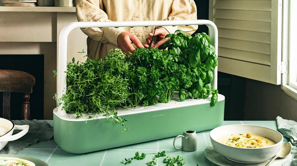 eco friendly apartment grow herbs