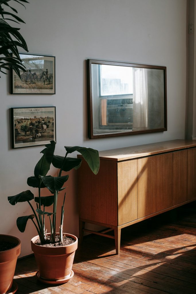 Image showcasing Eco Friendly Apartment Living: Sustainable Practices - Jayne Thomas