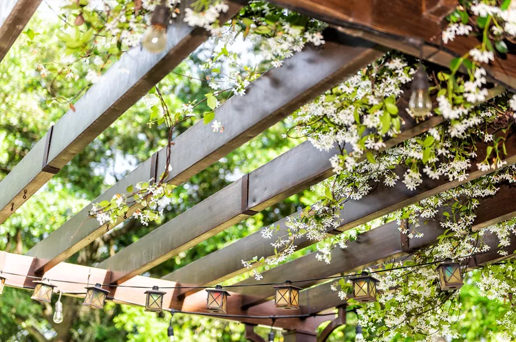 image pergola with vines Small Patio Decor Ideas