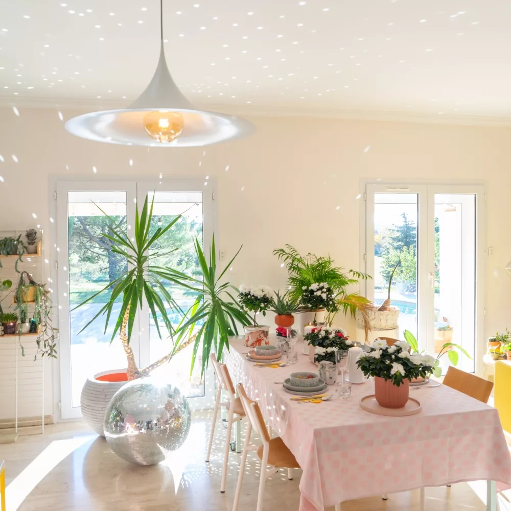 disco ball for fun birthday dinner