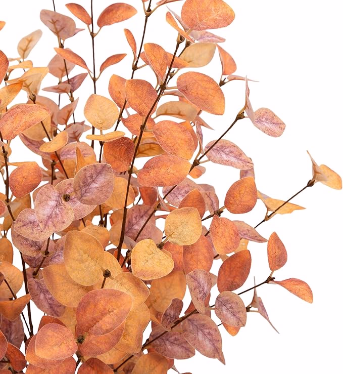 image link Eucalyptus Stems
