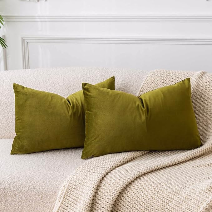 Velvet Throw Pillow Covers image link