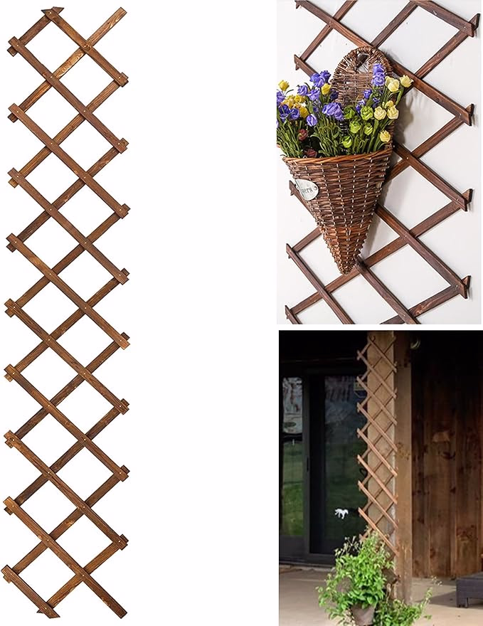Trellis image link