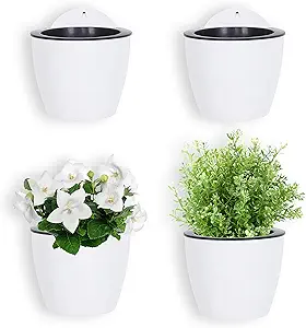 Wall Planters image link