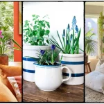 Using Plants to Decorate: Transform Your Home with Greenery