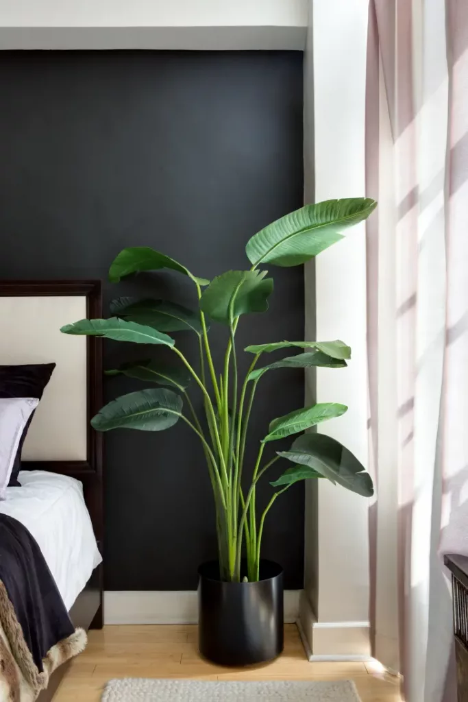 simple tall plant as decor in bedroom