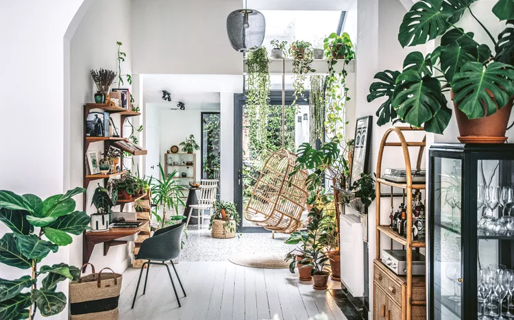 lots of plant in the house to create a jungle vibe and boho style