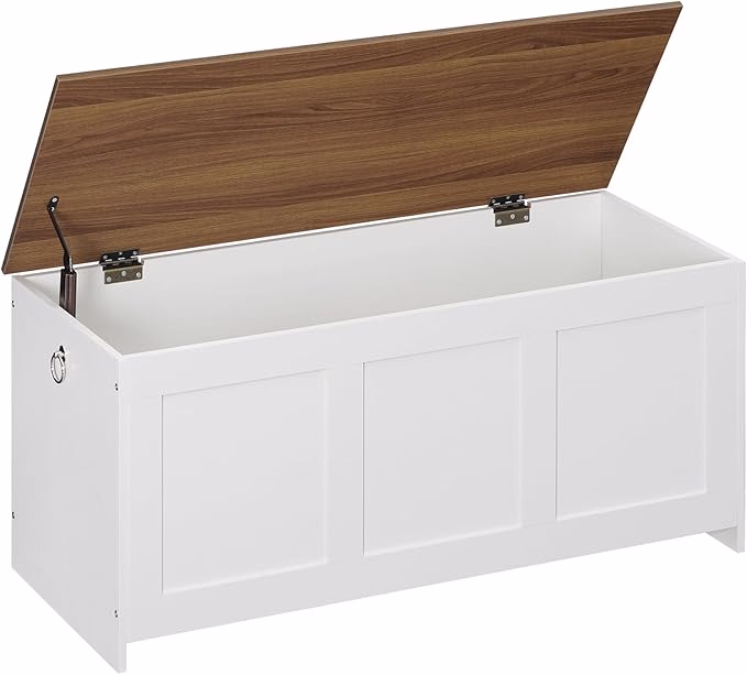 storage chest as shoe storage