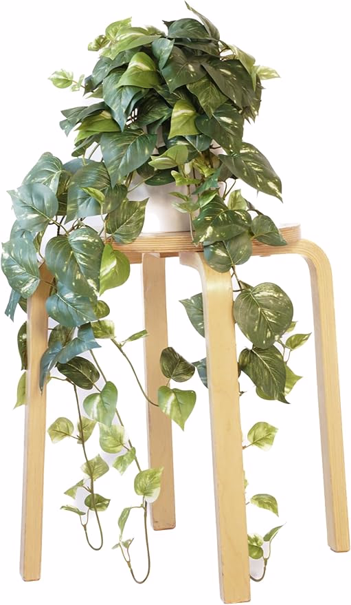 fake pothos image link