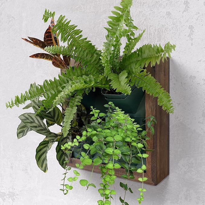 image link to ling wall accessories