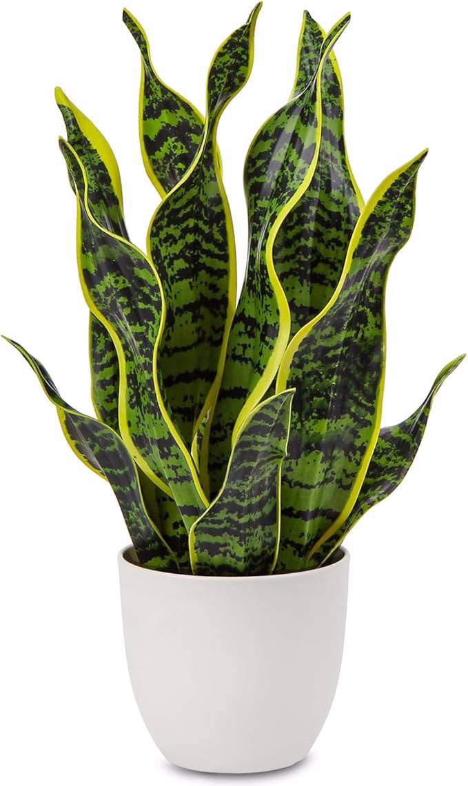 image link fake snake plant