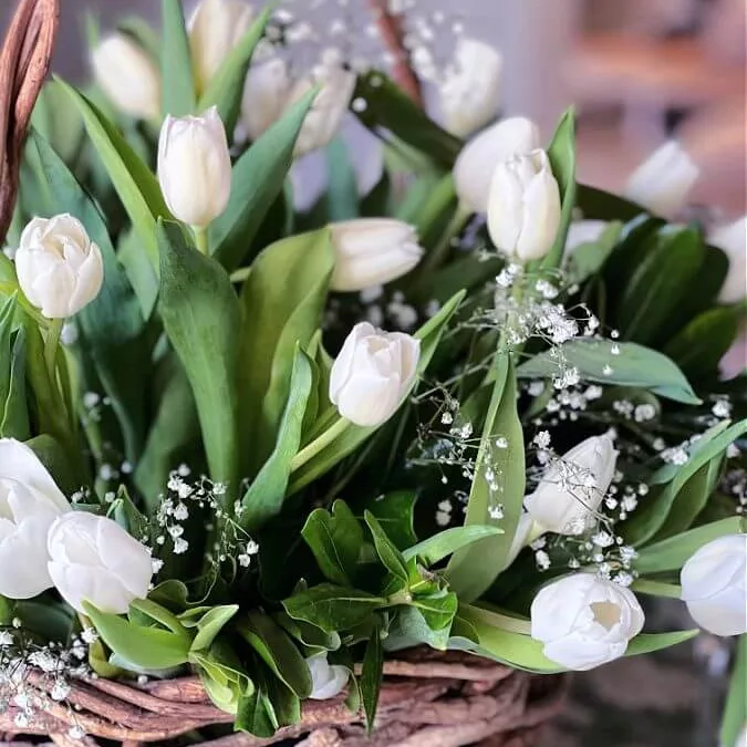 tulips in a basket
