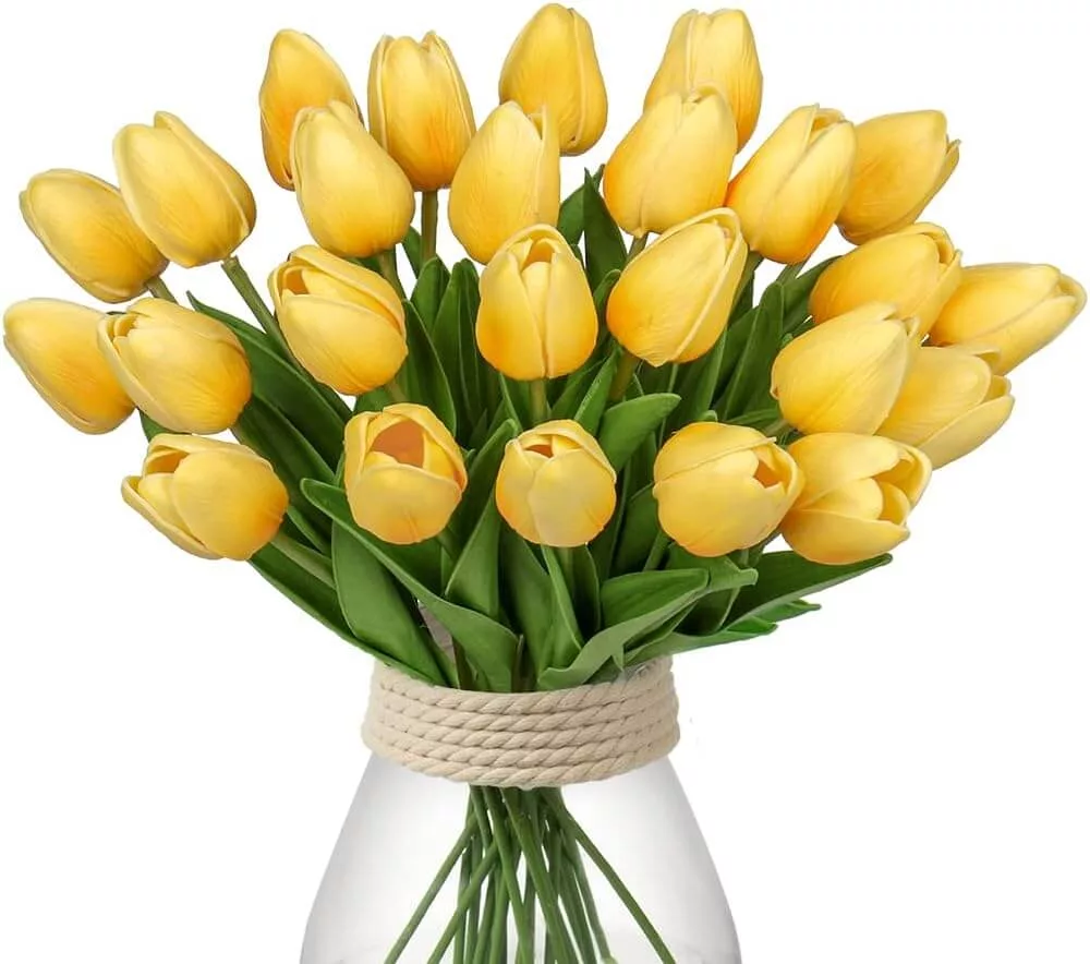 yellow tulips