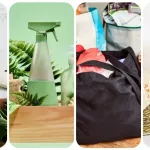 sustainable swaps feature image