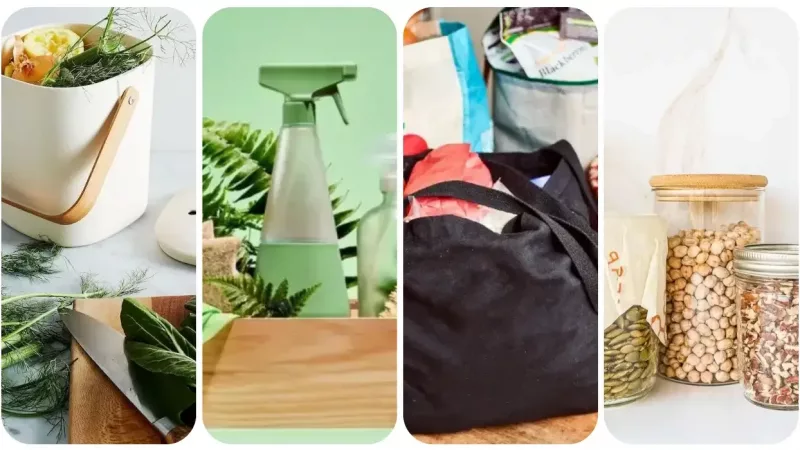 8 Sustainable Swaps for That Actually Save You Money