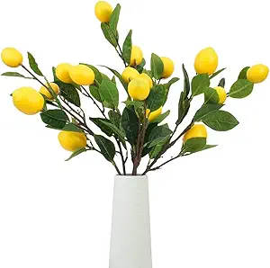 lemon branches