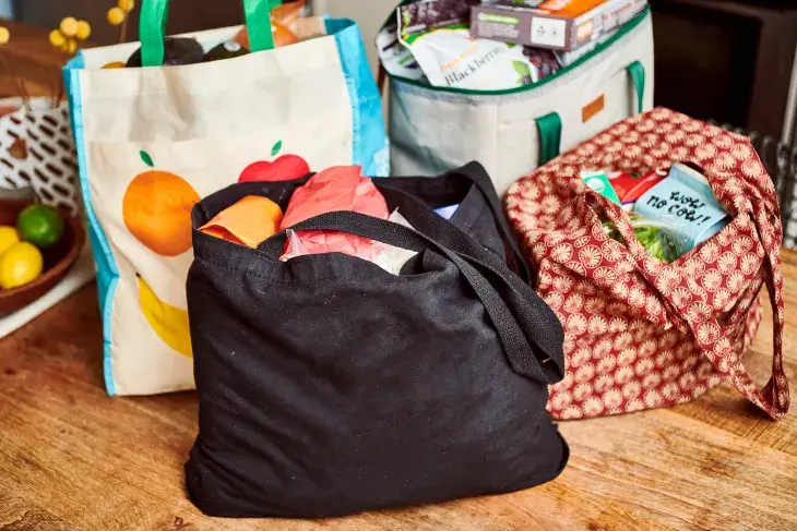 Reusable Grocery bags: Handy Sustainable Swaps