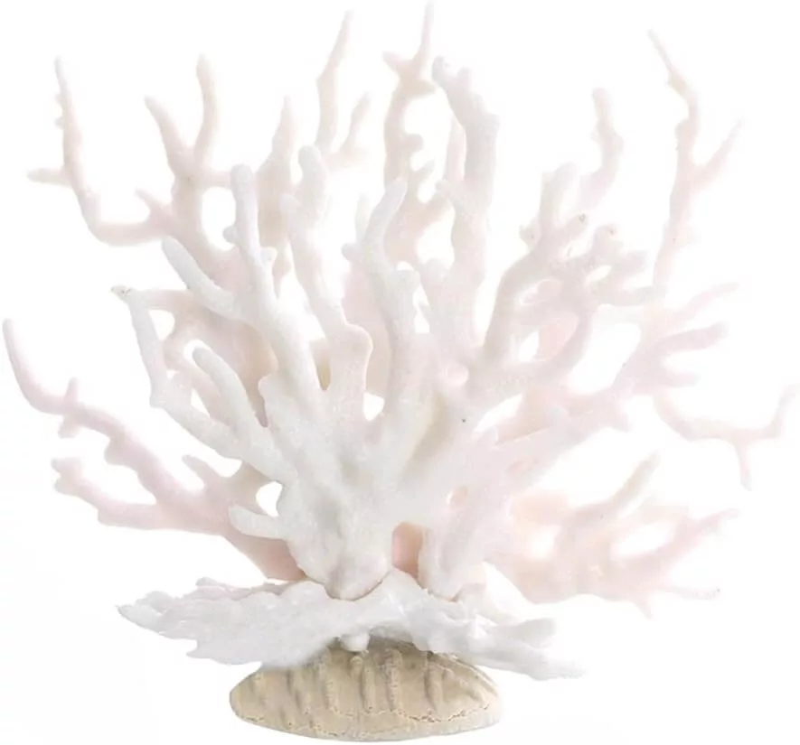 coral