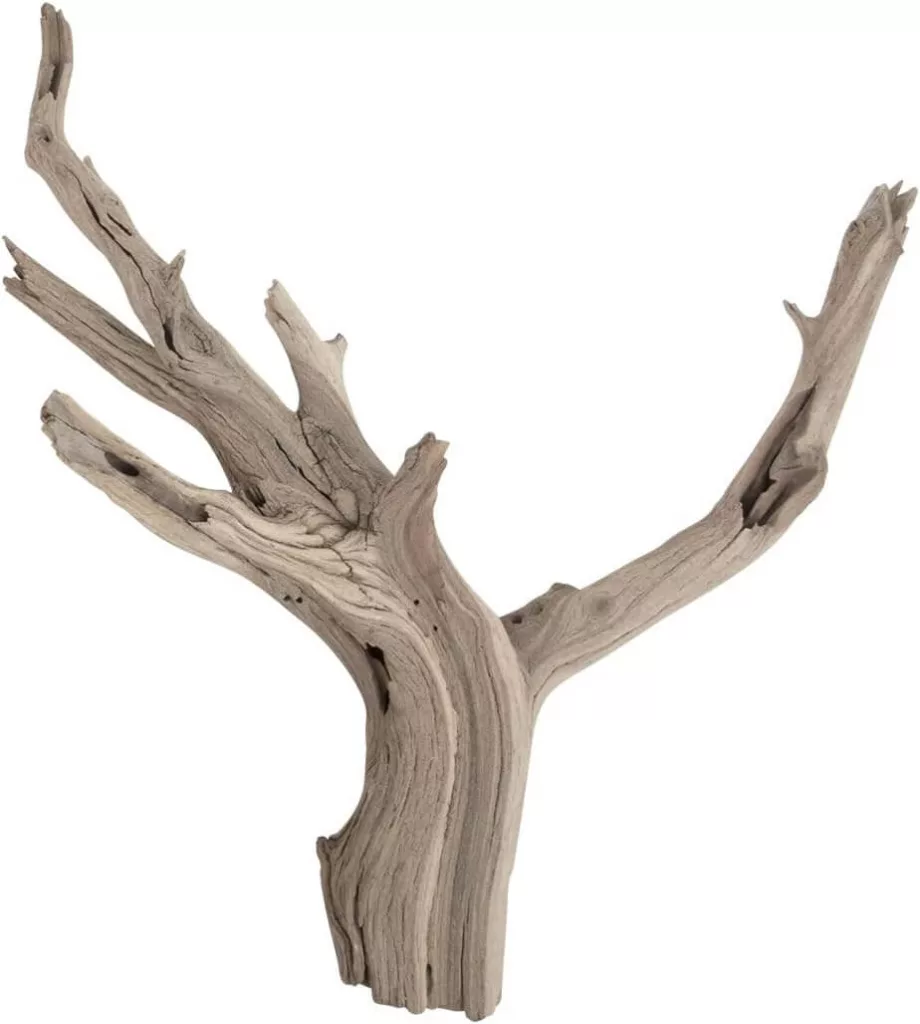 driftwood