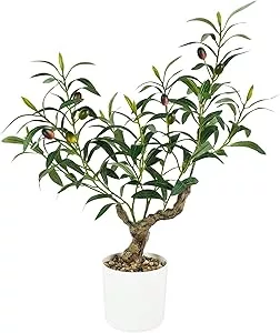faux table top olive tree