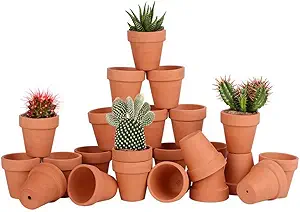 terracotta pots