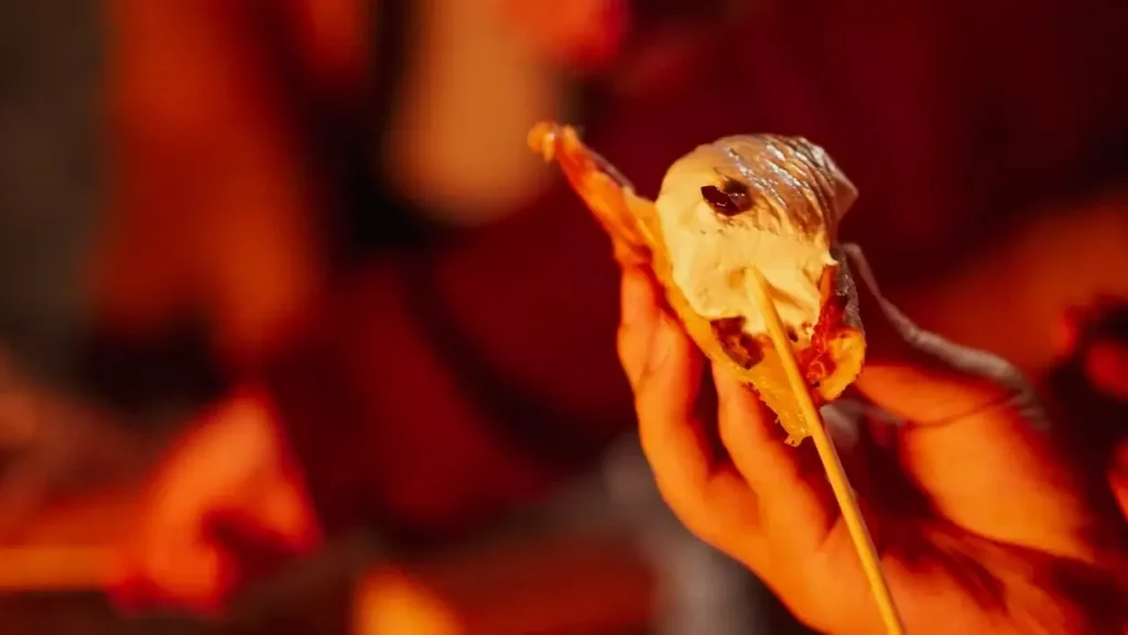 summer activity roasting marshmallows over fire