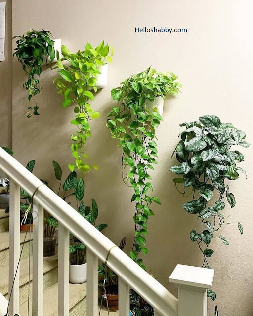 decorate stairway wall with hanging plants
