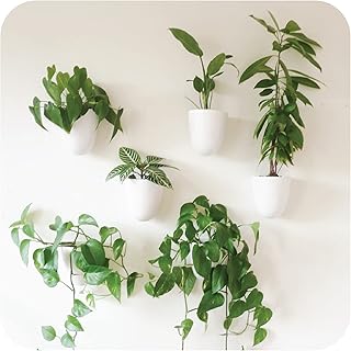 hanging wall planters