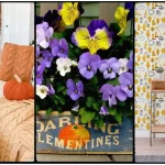 Fall Decor Tips for a Cozy Apartment Interior (Chic Rental Decor)