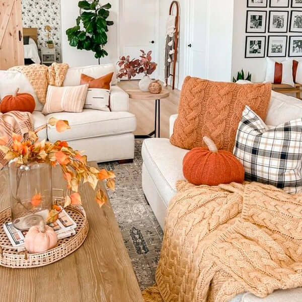 great tips for fall decor in an apartment by using blankets 

https://homlyns.com/blogs/news/how-to-choose-blankets-for-different-seasons