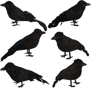Ravens for Haunting Halloween Yard Arrangements