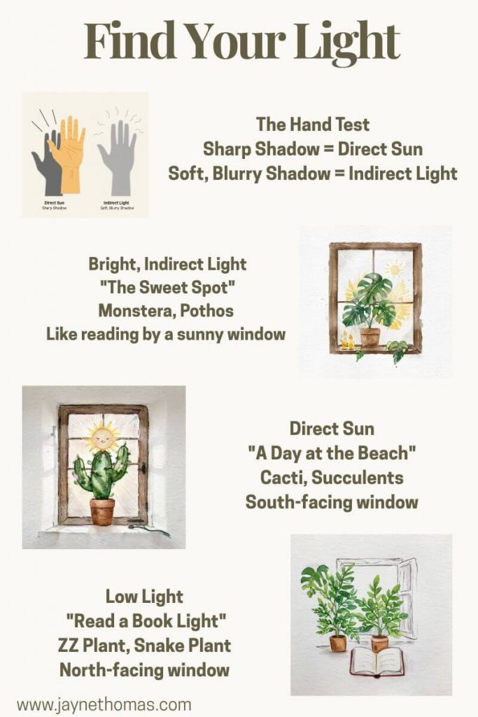 INFO GRAPHIC WITH INDOOR PLANT CARE TIPS TO HELP FIND THE BEST LIGHT FOR PLANTS