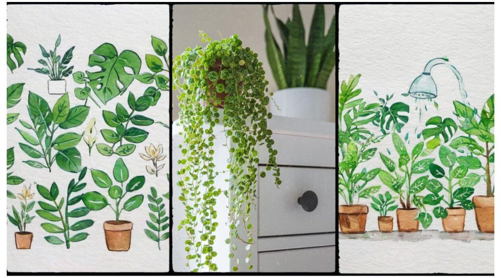 Indoor Plant Care Tips That Work. Learn How To Look After Plants