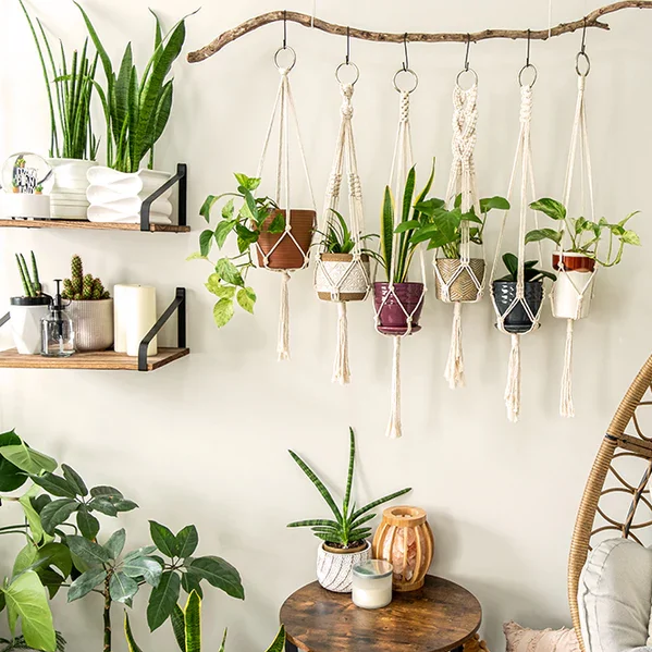 using hanging plants as decoration