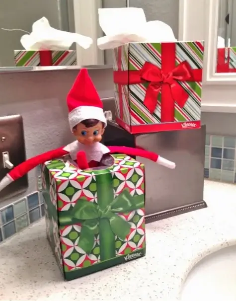 elf stuck in tissue box